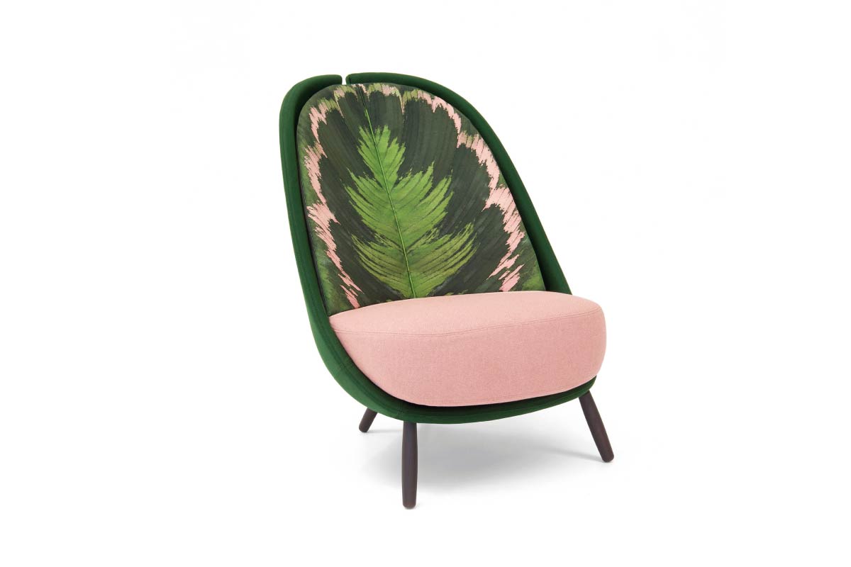 Calatea by simplysofas.in